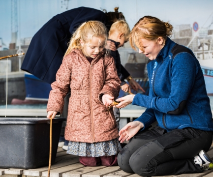 Sommeren syder af liv og hyggelige aktiviteter på Nordsøen Oceanarium.